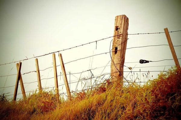 Unlocking the Power of the Global Workforce